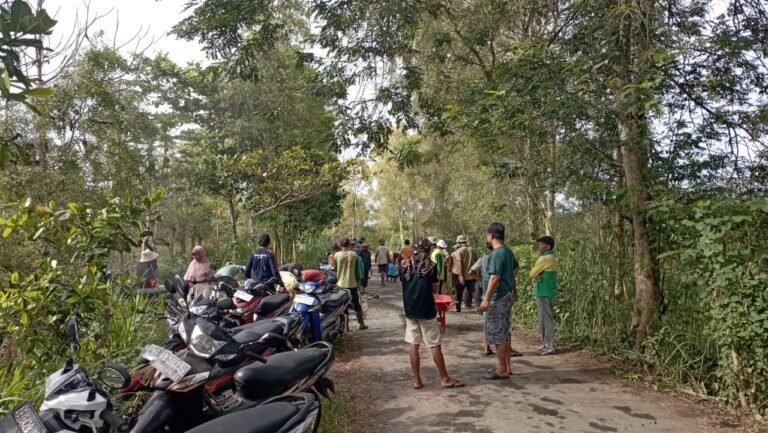 Prihatin Jalannya Rusak Warga Lakukan Suwadaya Tambal Jalan
