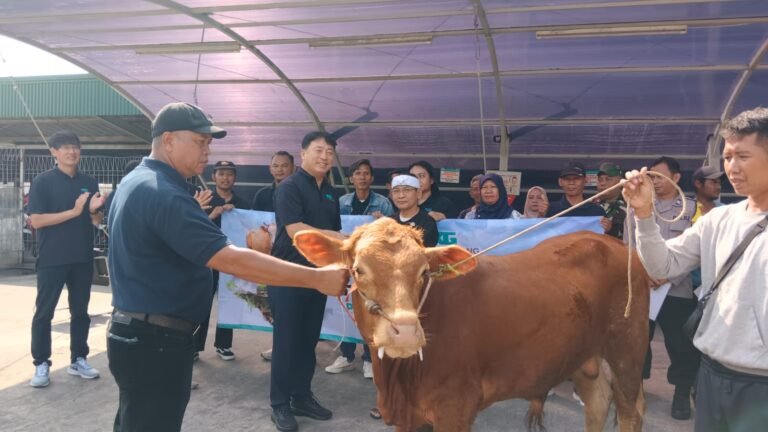 Peringati Idul Adha, PT Taekwang Indonesia Bagikan Sapi dan Kambing untuk Masyarakat Subang