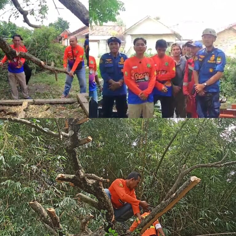 Sinergi Lintas Instansi Tangani Pohon Tumbang di Pemakaman Cinangoh Barat