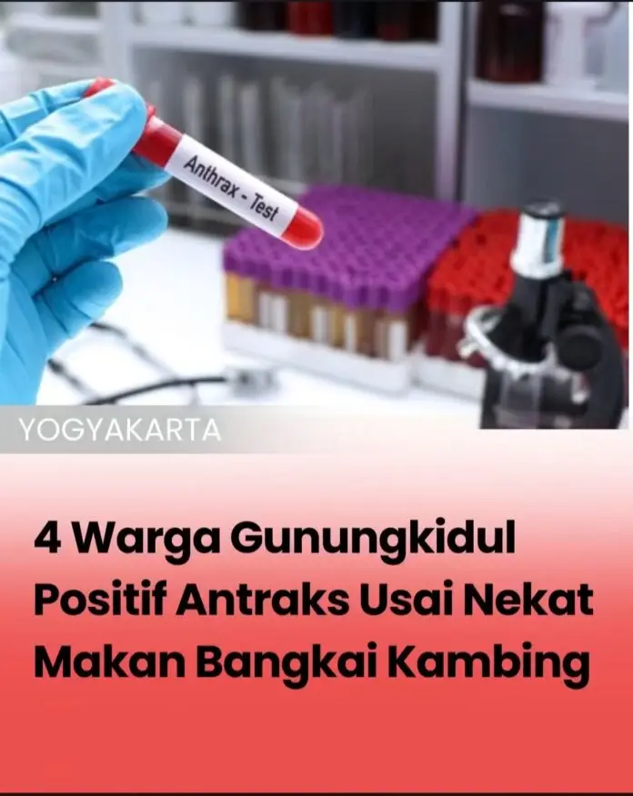 Empat Warga Gunungkidul Positif Antraks Usai Konsumsi Daging Kambing Mati Mendadak, 47 Orang Masuk Pemantauan